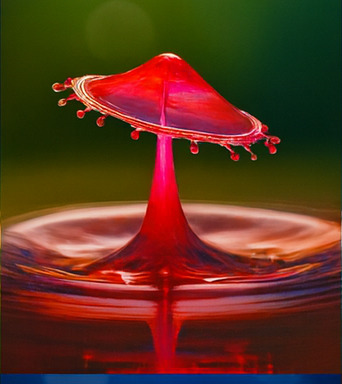 몰입형 체험 시작 이미지